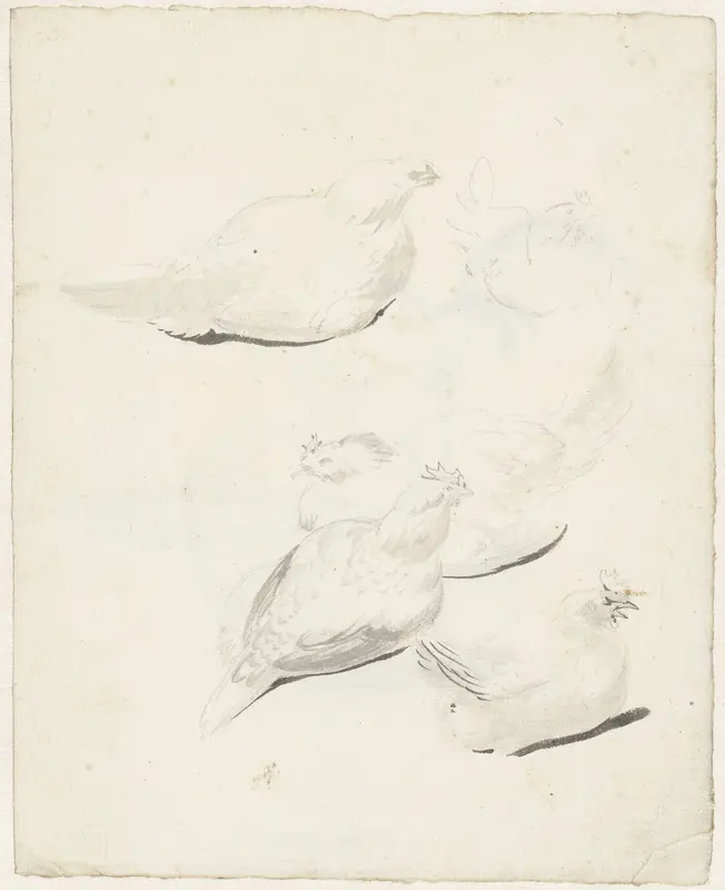 Studieblad met vijf kippen Wall Art by Aert Schouman - High-Resolution Digital Print
