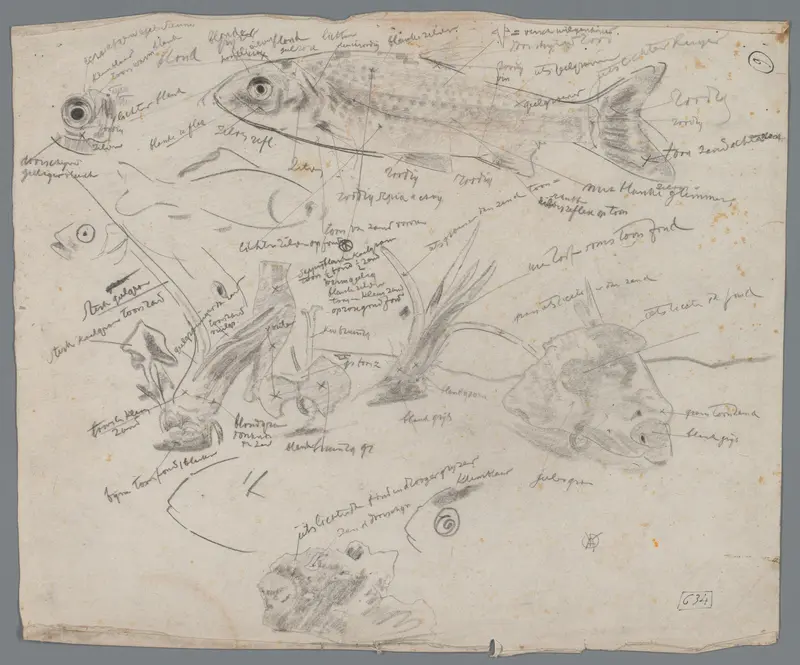 Studieblad met vissen en aquariumplanten Wall Art by Unknown - High-Resolution Digital Print