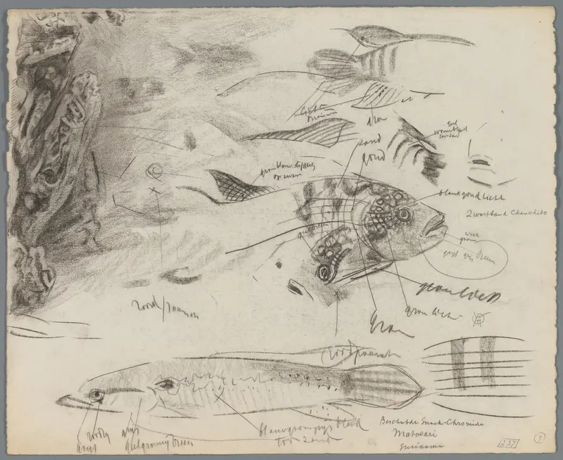 Studieblad met vissen en een deel van een aquarium Wall Art by Unknown - High-Resolution Digital Print