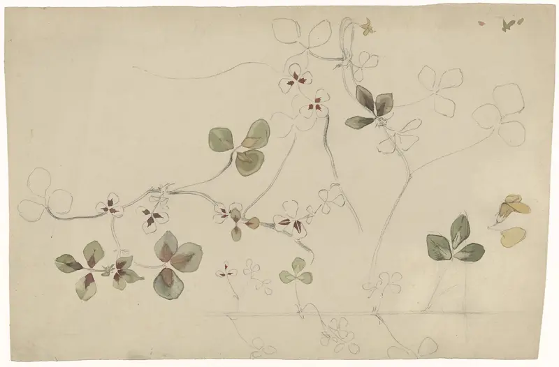 Studieblad met vlinderbloem Wall Art by Antoon Derkinderen - High-Resolution Digital Print