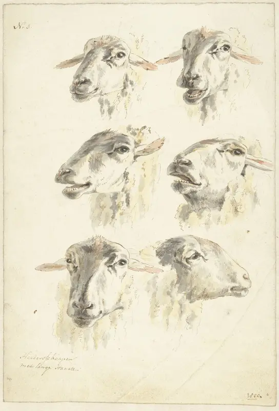 Studieblad met zes schaapskoppen Wall Art by Unknown - High-Resolution Digital Print
