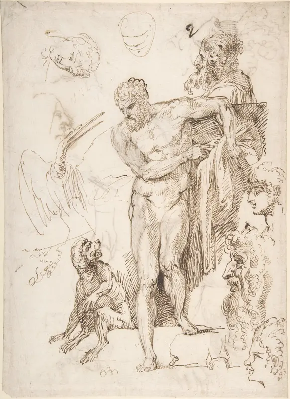 Studies and Sketches for Figures: Standing Male Nude in Frontal View, Male Heads, Seated Monkey, and a Long-Beaked Bird (a Stork?) (recto); Figure Studies: Back View of Standing Male and Female Heads, a Flying Long-Beaked Bird, etc. (verso) Wall Art by Agostino Carracci - High-Resolution Digital Print