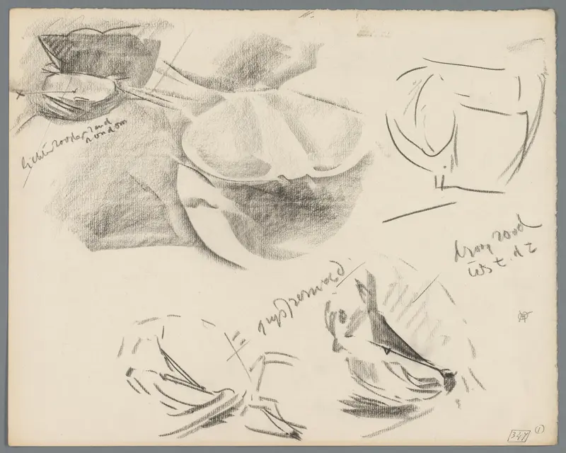 Studies, mogelijk van krabben Wall Art by Unknown - High-Resolution Digital Print