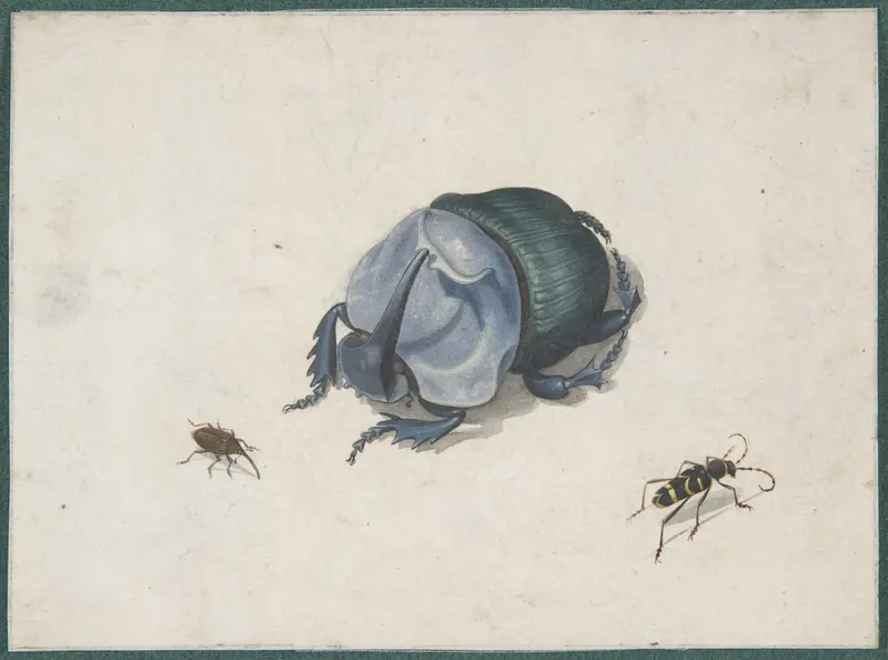 Studies of a Blue Beetle and Insects Wall Art by Pieter Holsteyn II - High-Resolution Digital Print