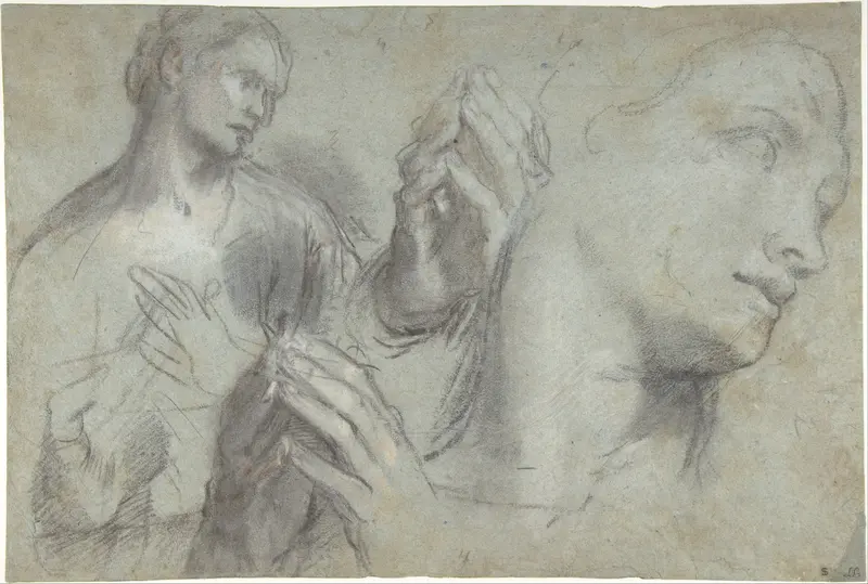 Studies of a Man's Head and of His Hands Wall Art by Federico Barocci - High-Resolution Digital Print