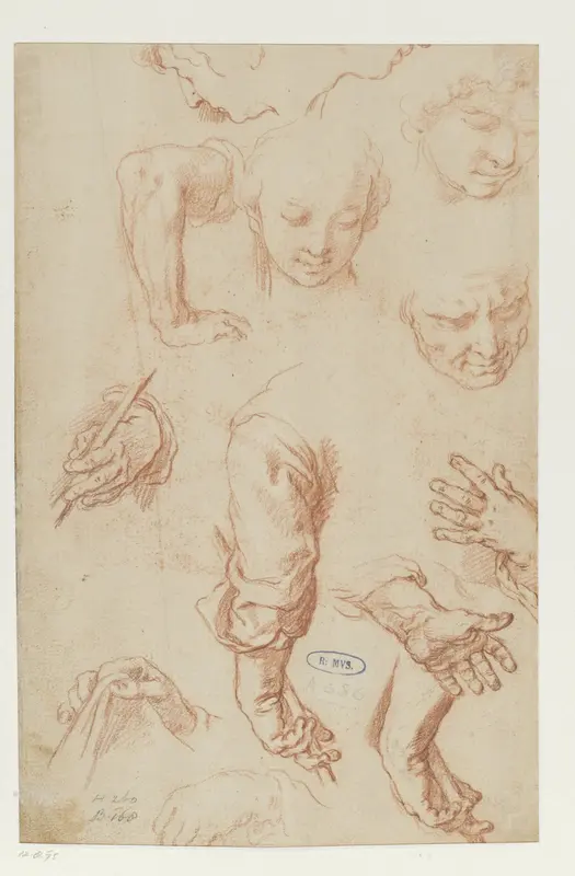 Studies of Arms, Hands and Heads Wall Art by Abraham Bloemaert - High-Resolution Digital Print