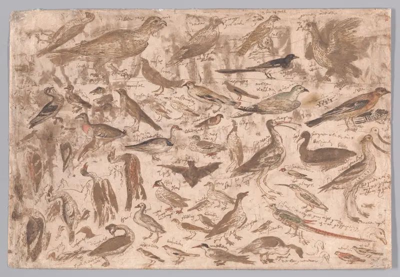 Studies of Birds (recto); Village Scene with Skaters (verso) Wall Art by Albert Flamen - High-Resolution Digital Print