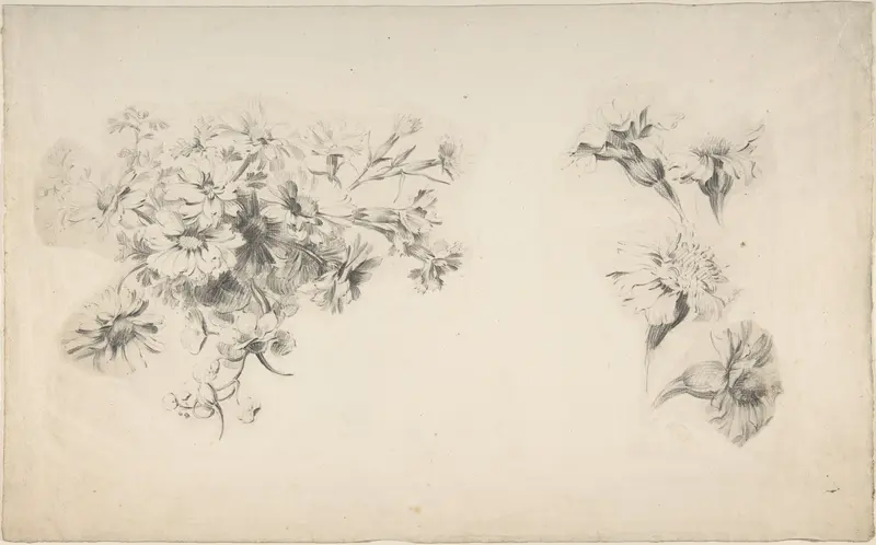 Studies of Flowers Wall Art by Anonymous, French, 18th century - High-Resolution Digital Print
