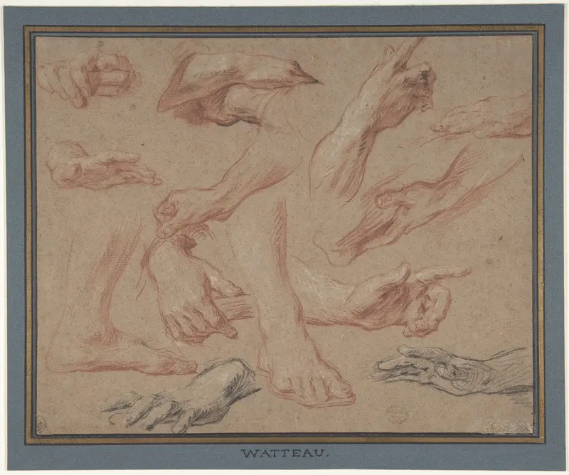 Studies of Hands and Feet