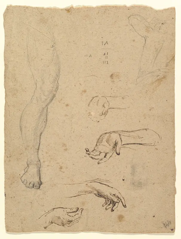 Studies of Legs, Hands, and Torso Wall Art by Anonymous, Italian, 18th century - High-Resolution Digital Print