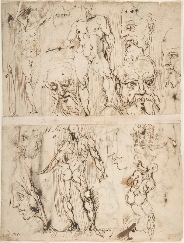 Studies of Nudes and Human Heads (recto and on the verso) Wall Art by Agostino Carracci - High-Resolution Digital Print