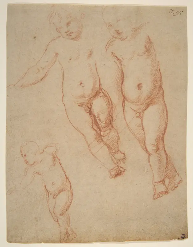 Studies of the Christ Child Wall Art by Raphael (Raffaello Sanzio or Santi) - High-Resolution Digital Print