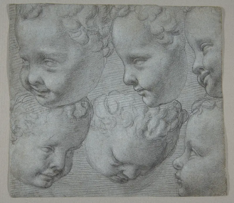 Studies of the Head of an Infant (after a three-dimensional model) Wall Art by Poppi (Francesco Morandini) - High-Resolution Digital Print
