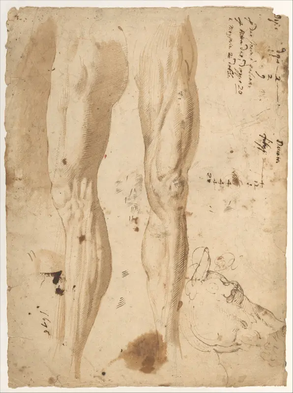 Studies of the Leg of a Man and a Horse's Head (recto); sketches of the back of a man's left shoulder and a chained (?) figure. Wall Art by Central Italian - High-Resolution Digital Print