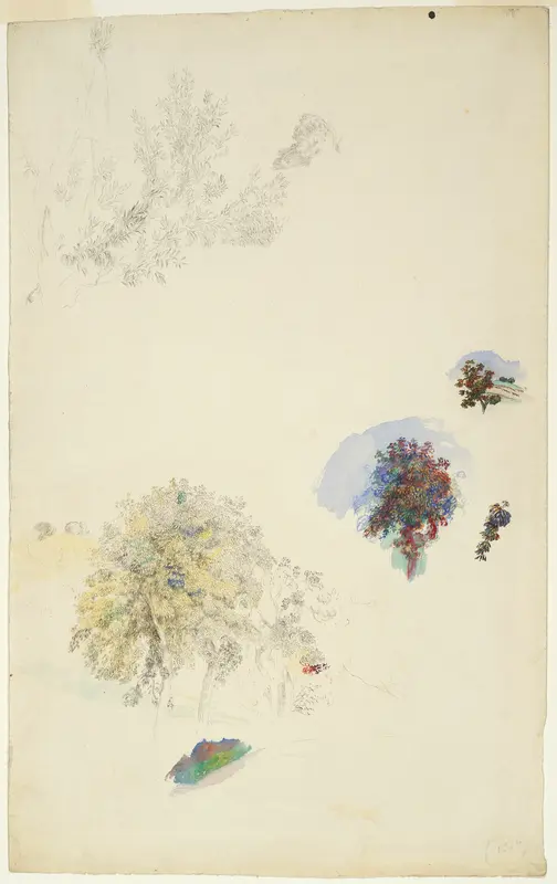 Studies of Trees and Foliage Wall Art by Pierre-Auguste Renoir - High-Resolution Digital Print