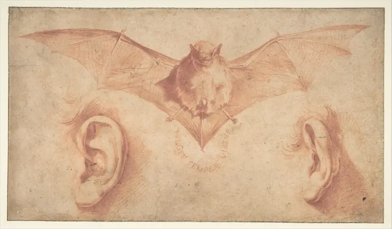Studies of Two Ears and of a Bat. Below, the motto: FULGET SEMPER VIRTUS Wall Art by Jusepe de Ribera (called Lo Spagnoletto) - High-Resolution Digital Print