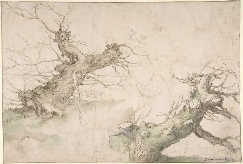 Studies of Two Pollard Willows; Verso: Wide Landscape Prospect Wall Art by Abraham Bloemaert - High-Resolution Digital Print