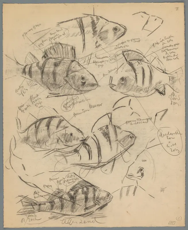 Studies van baarzen Wall Art by Unknown - High-Resolution Digital Print
