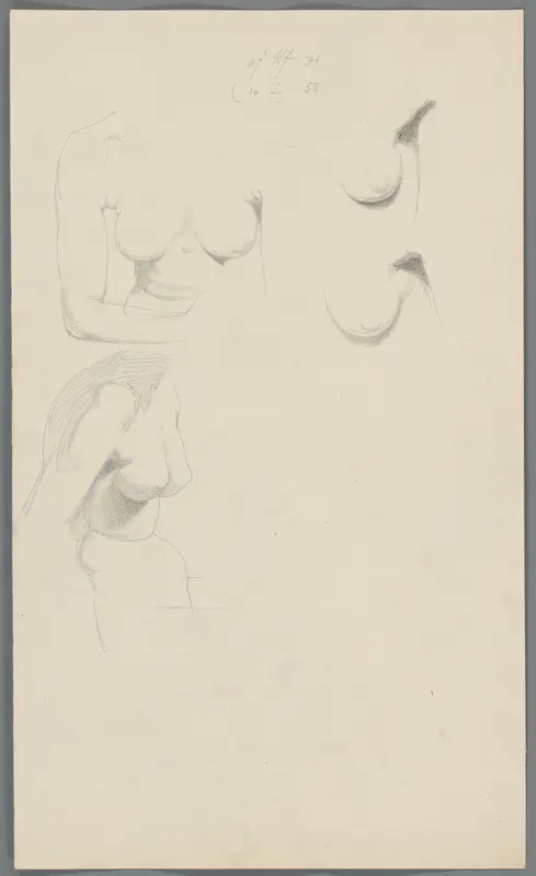 Studies van borsten Wall Art by Unknown - High-Resolution Digital Print