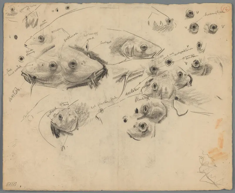 Studies van de koppen en ogen van karpers Wall Art by Gerrit Willem Dijsselhof - High-Resolution Digital Print