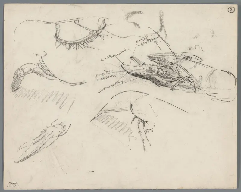 Studies van de scharen en het pantser van kreeften Wall Art by Gerrit Willem Dijsselhof - High-Resolution Digital Print