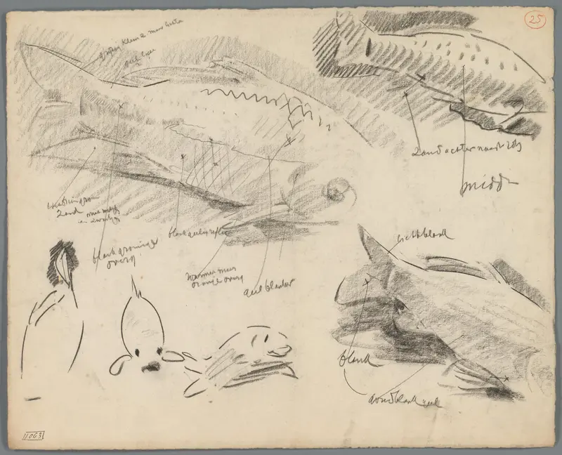 Studies van de schubben en staarten van karpers Wall Art by Gerrit Willem Dijsselhof - High-Resolution Digital Print