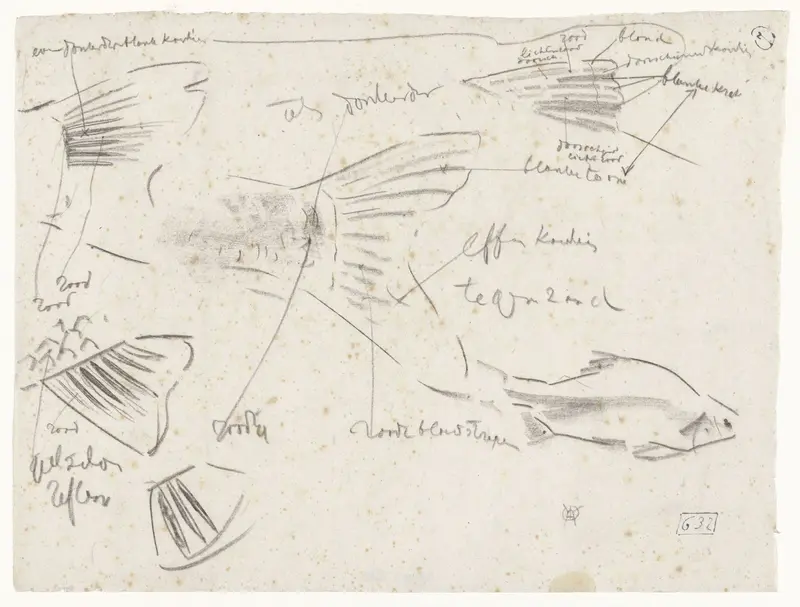 Studies van de staart van een vis, met kleurnotities Wall Art by Gerrit Willem Dijsselhof - High-Resolution Digital Print