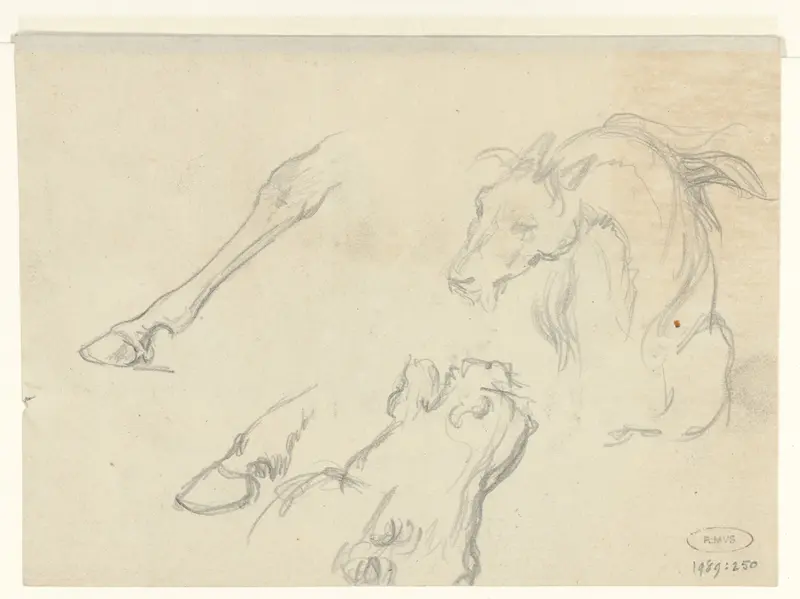 Studies van dierenkoppen en poten Wall Art by Raden Sarief Bastaman Saleh - High-Resolution Digital Print