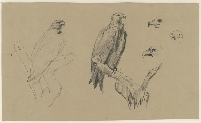 Studies van een arend Wall Art by Guillaume Anne van der Brugghen - High-Resolution Digital Print