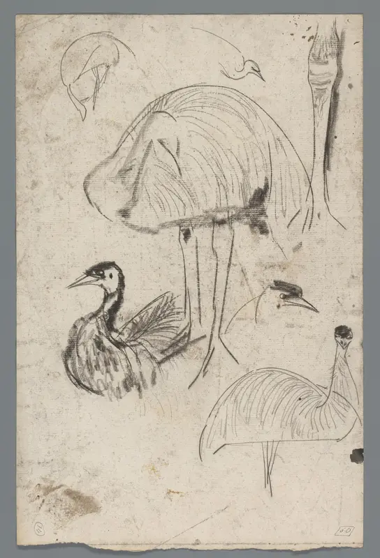 Studies van een emoe Wall Art by Gerrit Willem Dijsselhof - High-Resolution Digital Print