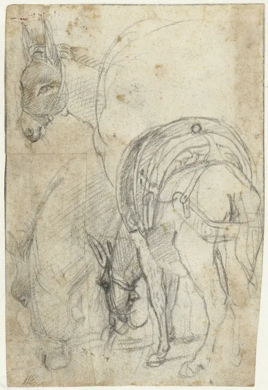 Studies van een ezel Wall Art by Unknown - High-Resolution Digital Print