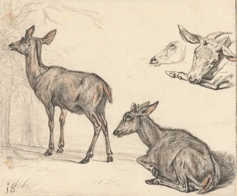 Studies van een hert Wall Art by Jan Dasveldt - High-Resolution Digital Print