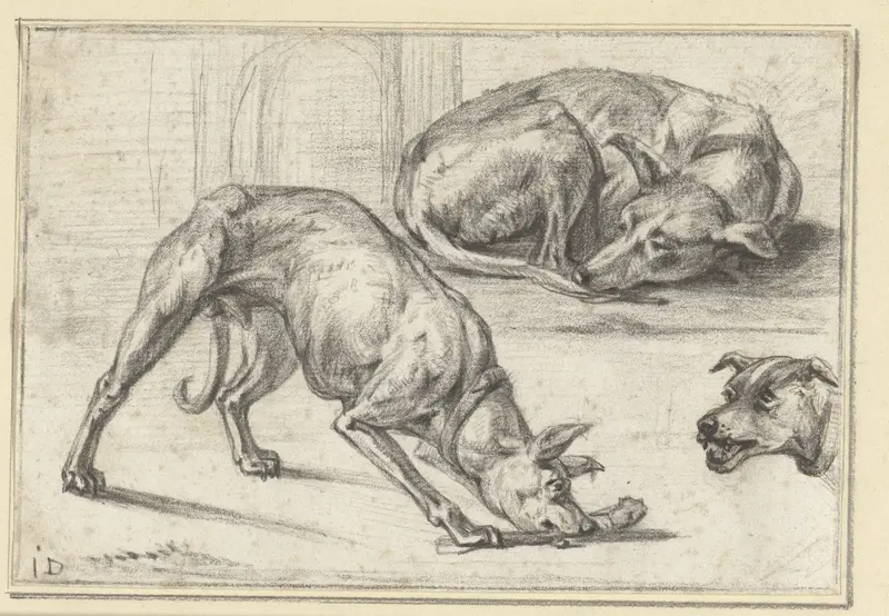 Studies van een hond Wall Art by Jan Dasveldt - High-Resolution Digital Print