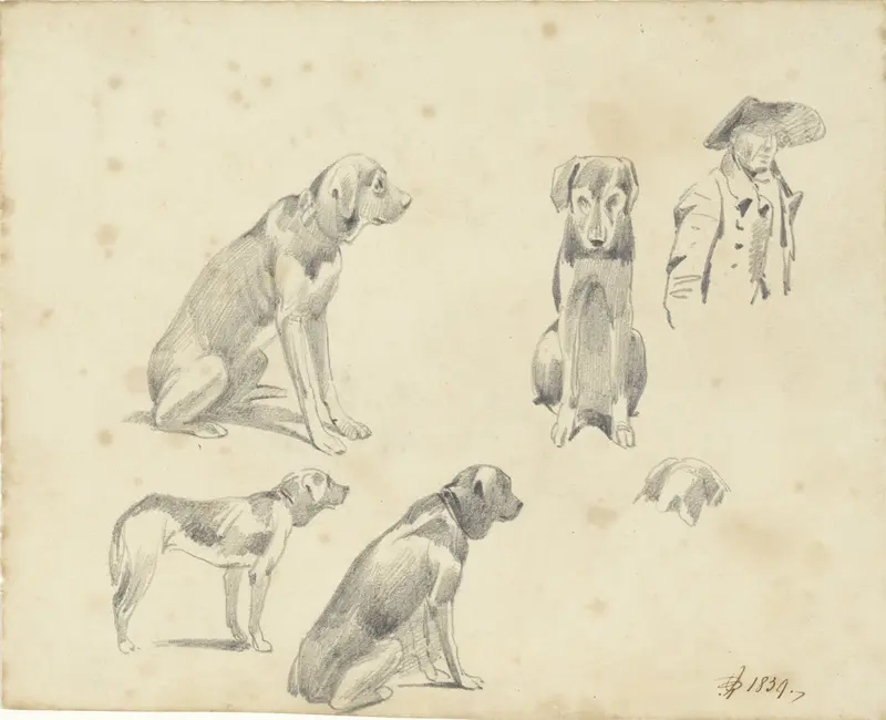 Studies van een hond Wall Art by Pieter van Loon - High-Resolution Digital Print