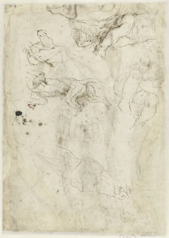 Studies van een hond, een zittend kind en een ezelskop Wall Art by Girolamo da Carpi - High-Resolution Digital Print