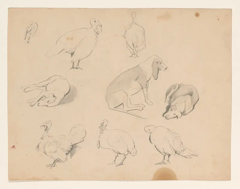Studies van een hond en kalkoenen Wall Art by Johannes Tavenraat - High-Resolution Digital Print