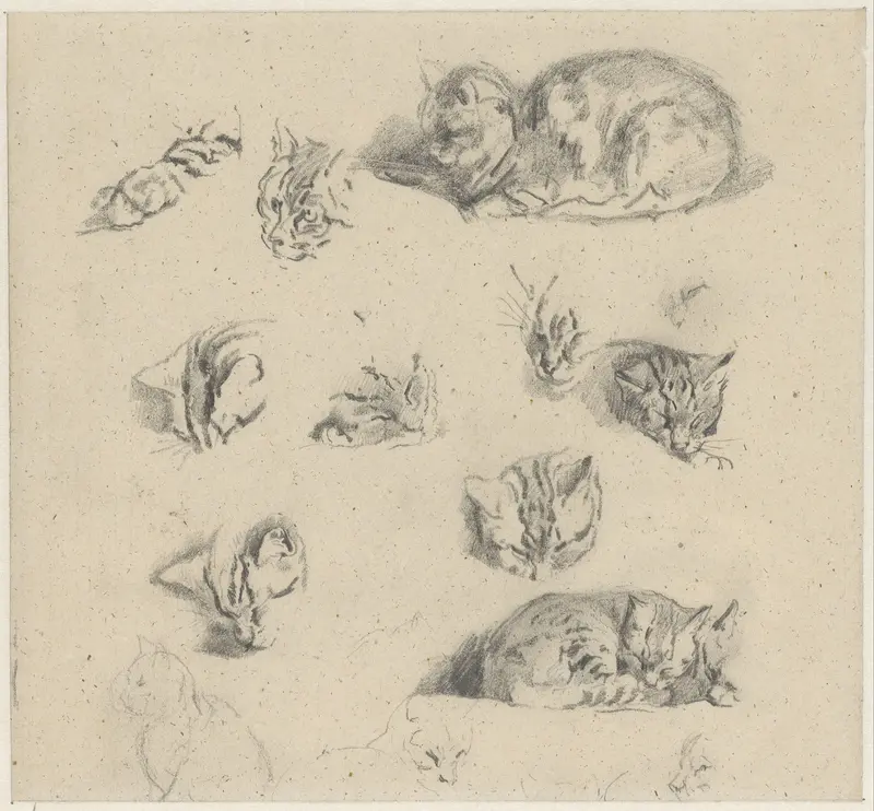 Studies van een kat Wall Art by Guillaume Anne van der Brugghen - High-Resolution Digital Print