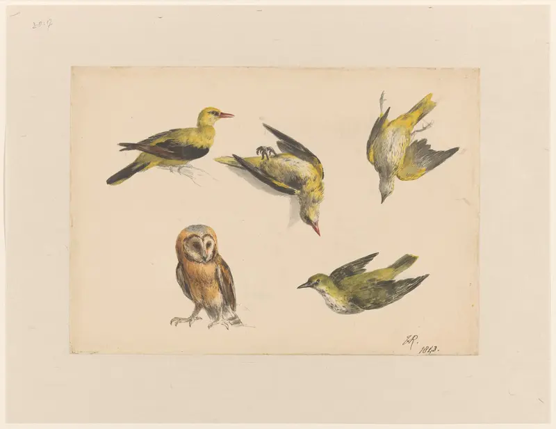 Studies van een kerkuil en vier wielewalen Wall Art by Henriëtte Ronner - High-Resolution Digital Print
