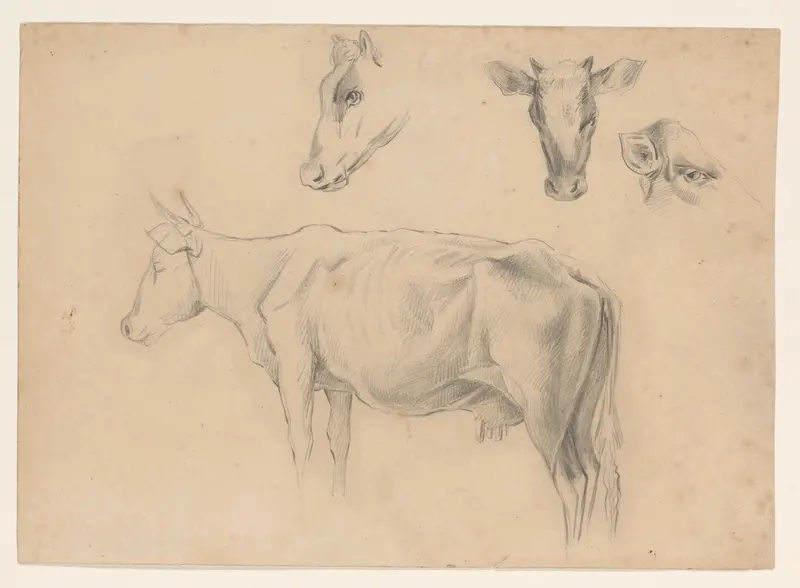 Studies van een koe Wall Art by Johannes Tavenraat - High-Resolution Digital Print
