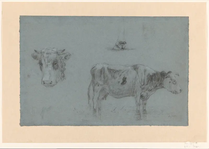 Studies van een koe Wall Art by Hendrikus Alexander van Ingen - High-Resolution Digital Print