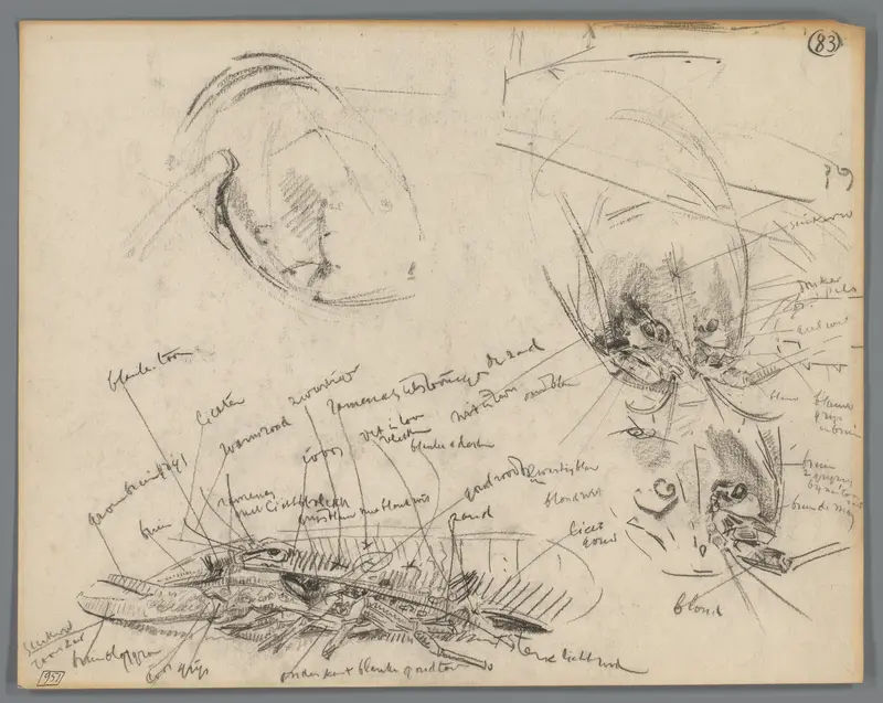 Studies van een kreeft en lichaamsdelen van kreeften Wall Art by Gerrit Willem Dijsselhof - High-Resolution Digital Print