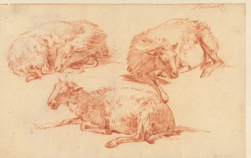 Studies van een liggend schaap Wall Art by M. Stokvis - High-Resolution Digital Print