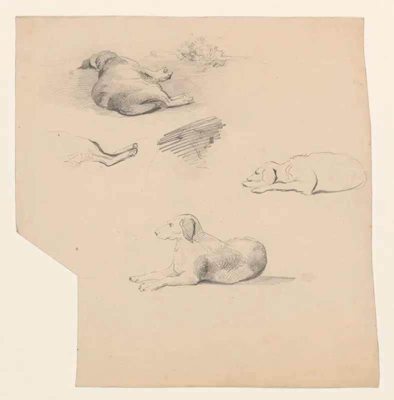 Studies van een liggende hond Wall Art by Johannes Tavenraat - High-Resolution Digital Print