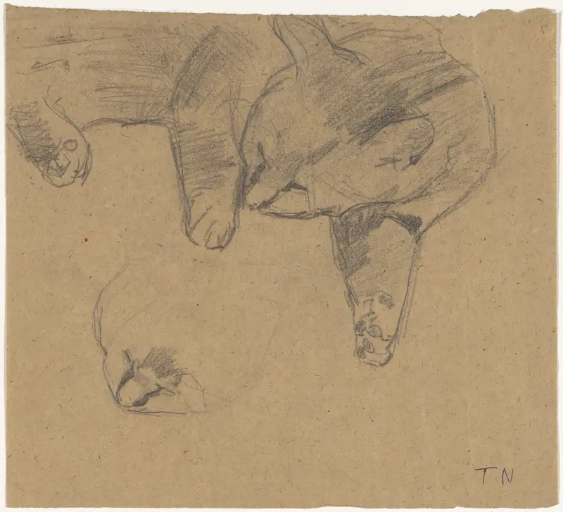 Studies van een liggende kat Wall Art by Theo Nieuwenhuis - High-Resolution Digital Print
