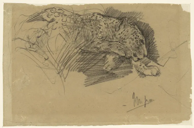 Studies van een luipaard Wall Art by Unknown - High-Resolution Digital Print