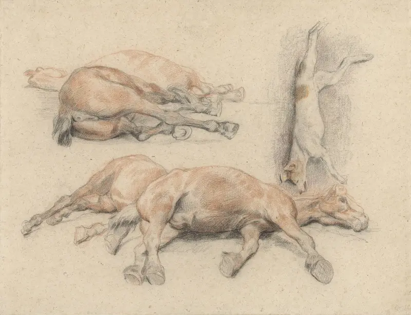Studies van een paardenkadaver en een dode opgehangen hond Wall Art by Denis Auguste Marie Raffet - High-Resolution Digital Print