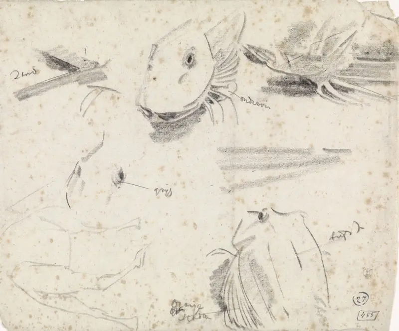 Studies van een poon en een schets van een kameel Wall Art by Gerrit Willem Dijsselhof - High-Resolution Digital Print