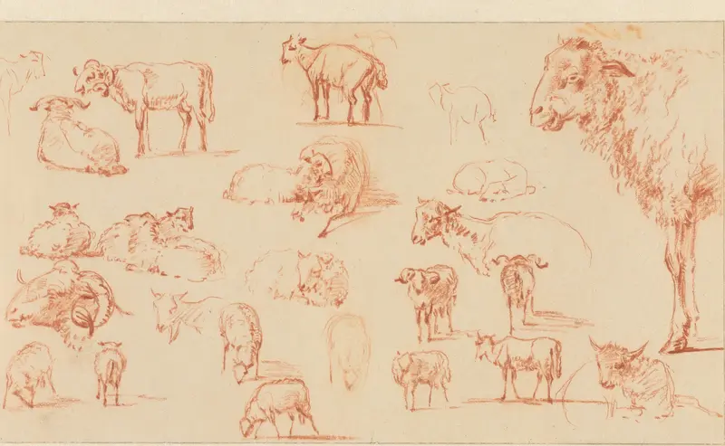 Studies van een schaap Wall Art by M. Stokvis - High-Resolution Digital Print
