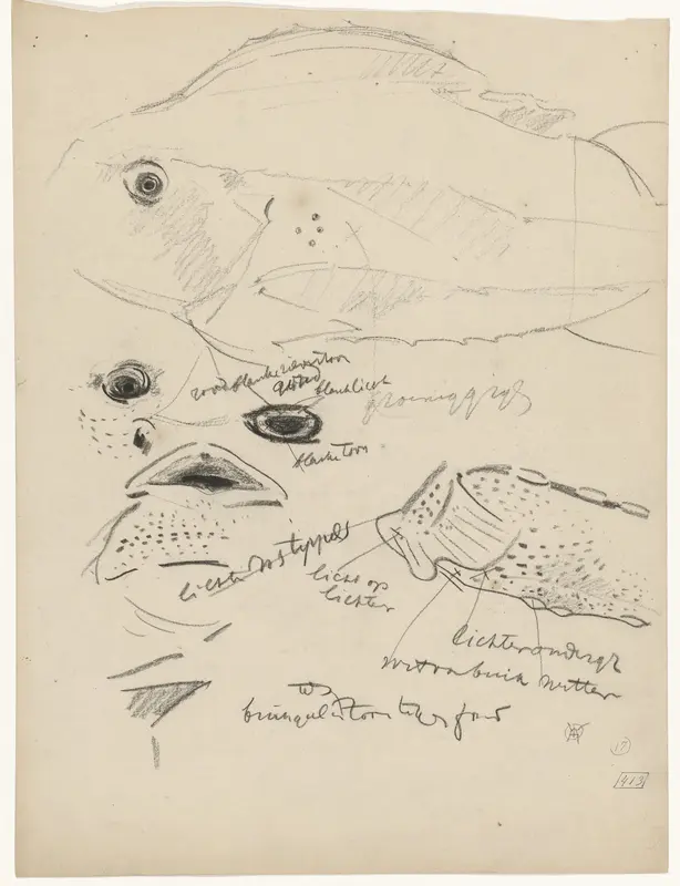Studies van een snotdolf, met kleurnotities Wall Art by Gerrit Willem Dijsselhof - High-Resolution Digital Print