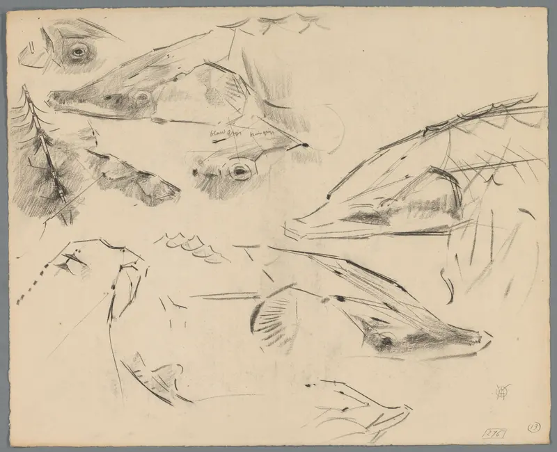 Studies van een steur Wall Art by Unknown - High-Resolution Digital Print